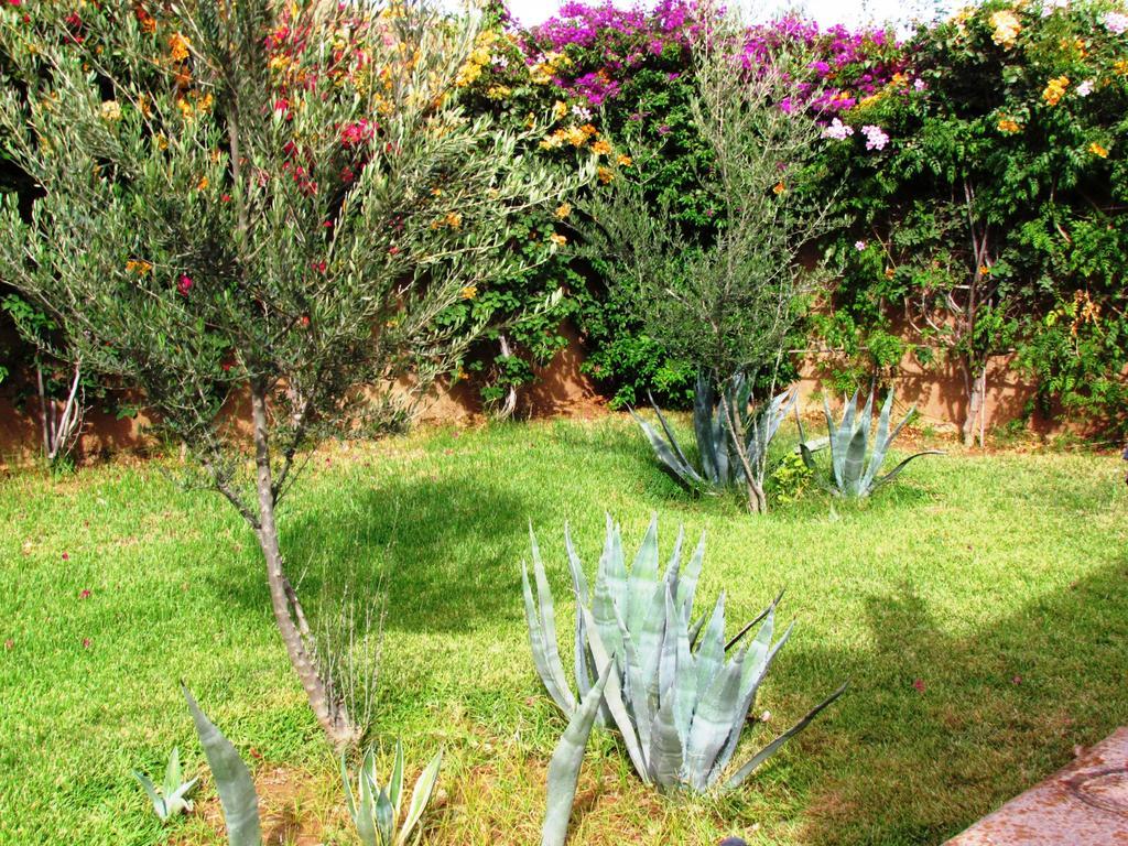 Le Jardin Des Epices Hotel Taroudant Buitenkant foto