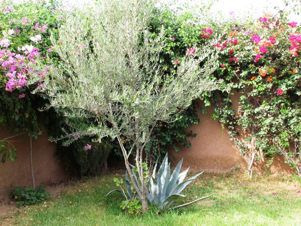 Le Jardin Des Epices Hotel Taroudant Buitenkant foto