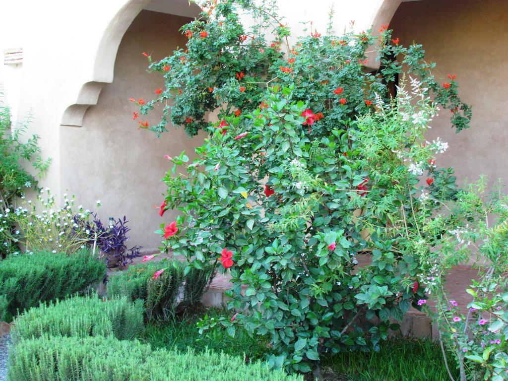 Le Jardin Des Epices Hotel Taroudant Buitenkant foto