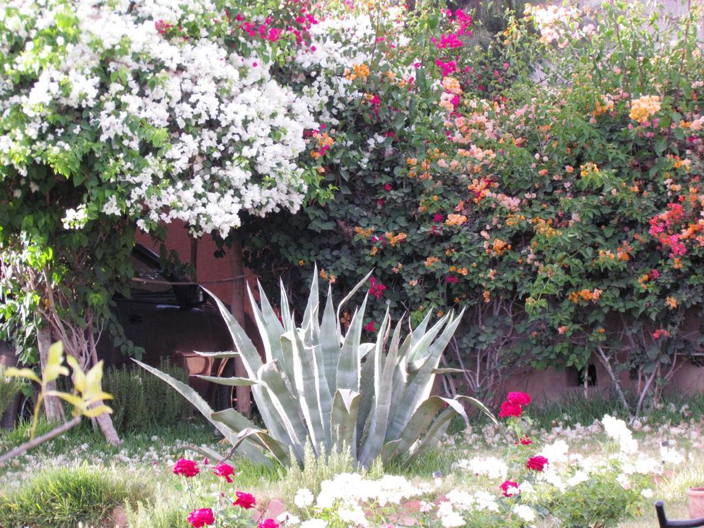 Le Jardin Des Epices Hotel Taroudant Buitenkant foto