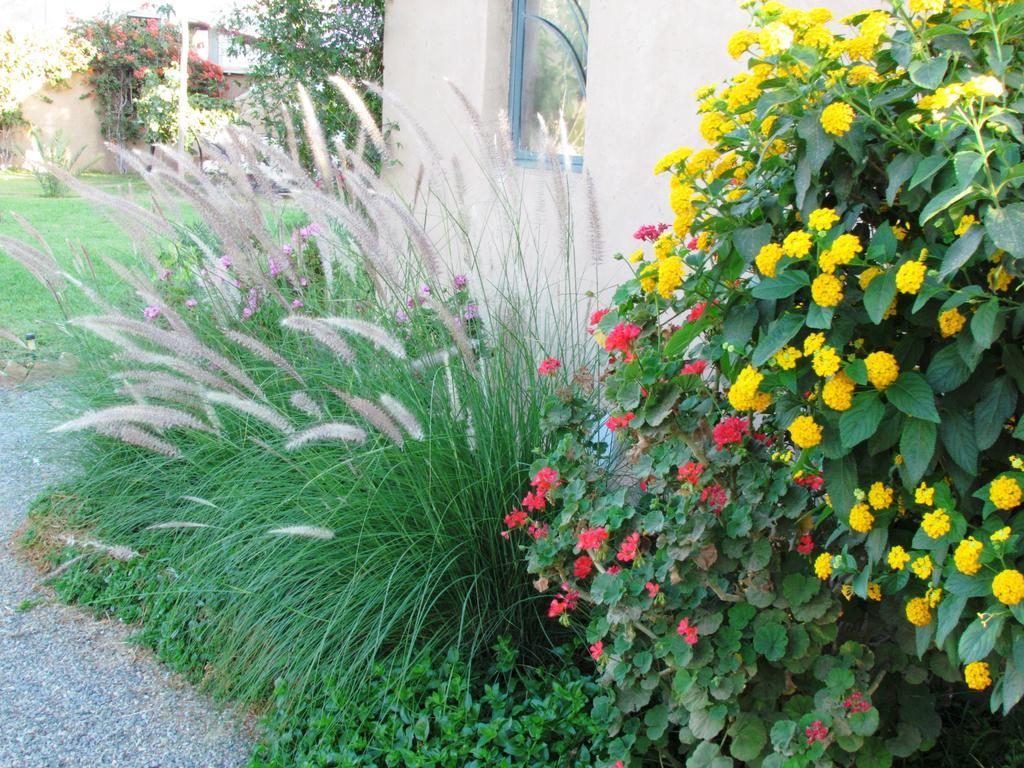 Le Jardin Des Epices Hotel Taroudant Buitenkant foto